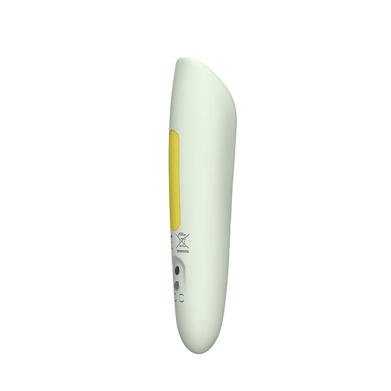 The Flash | Pocket Bullet Vibrator-1